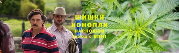 шишки Нефтекумск