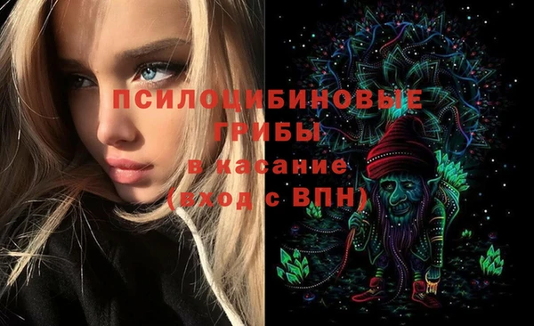 шишки Нефтекумск