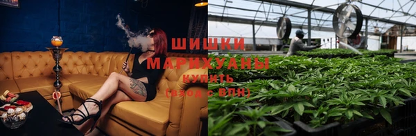 шишки Нефтекумск
