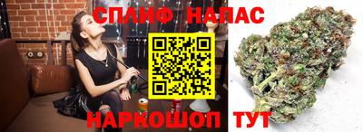 PSILOCYBIN Азнакаево