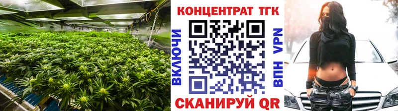 где продают наркотики  Алейск  ТГК жижа 
