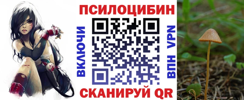 Галлюциногенные грибы мицелий Алейск