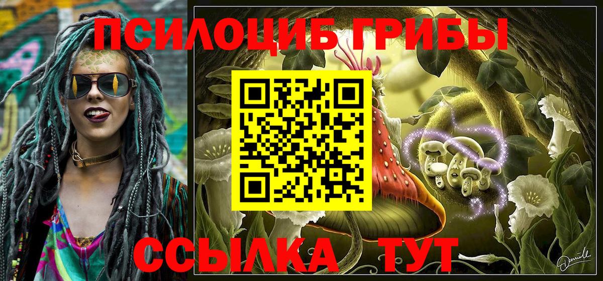 Алейск  Псилоцибиновые грибы ЛСД  Вход с VPN  Псилоцибиновые грибы ЛСД 