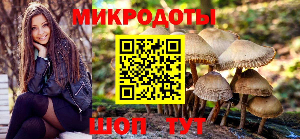 Галлюциногенные грибы GOLDEN TEACHER  Вход с VPN  Псилоцибиновые грибы прущие грибы  Алейск 