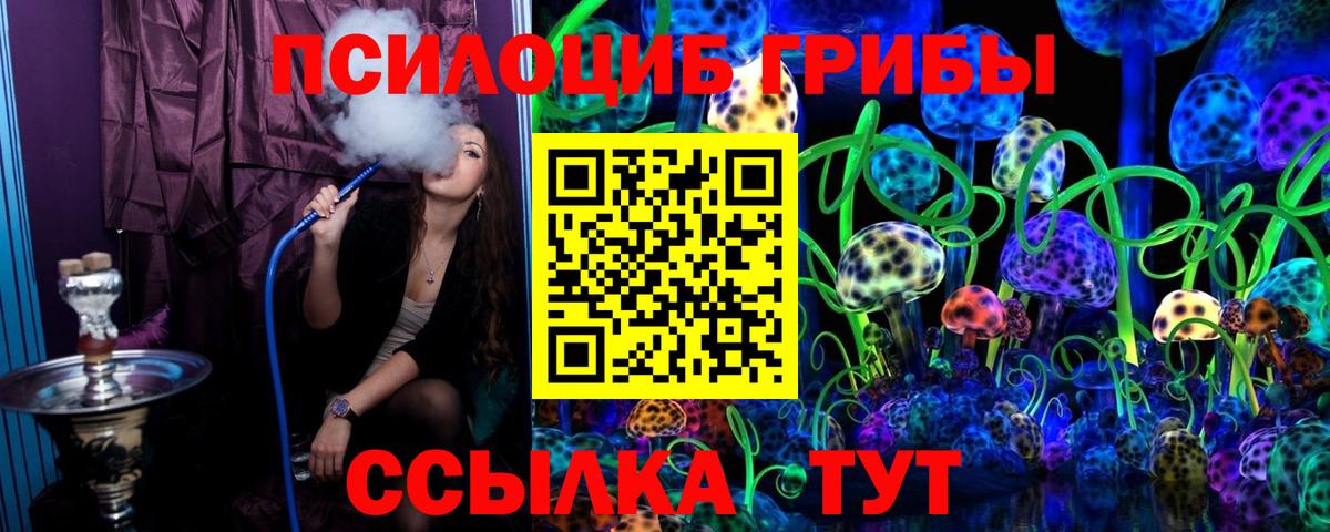 Псилоцибиновые грибы Psilocybine cubensis  Псилоцибиновые грибы Cubensis  Алейск 